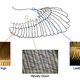 Illustration for article titled Tomorrows wind turbines could look like enormous owl wings